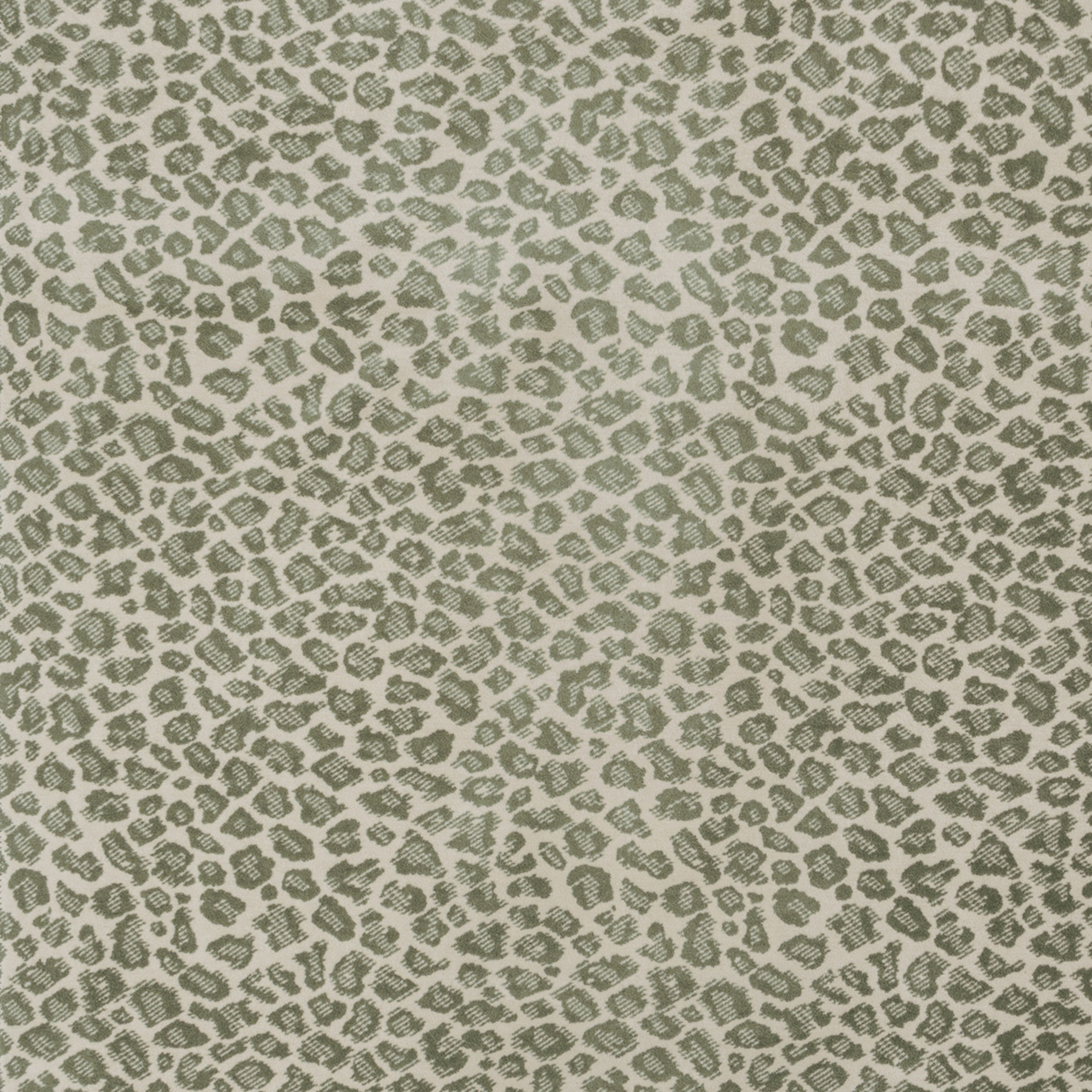 khaki/oliv