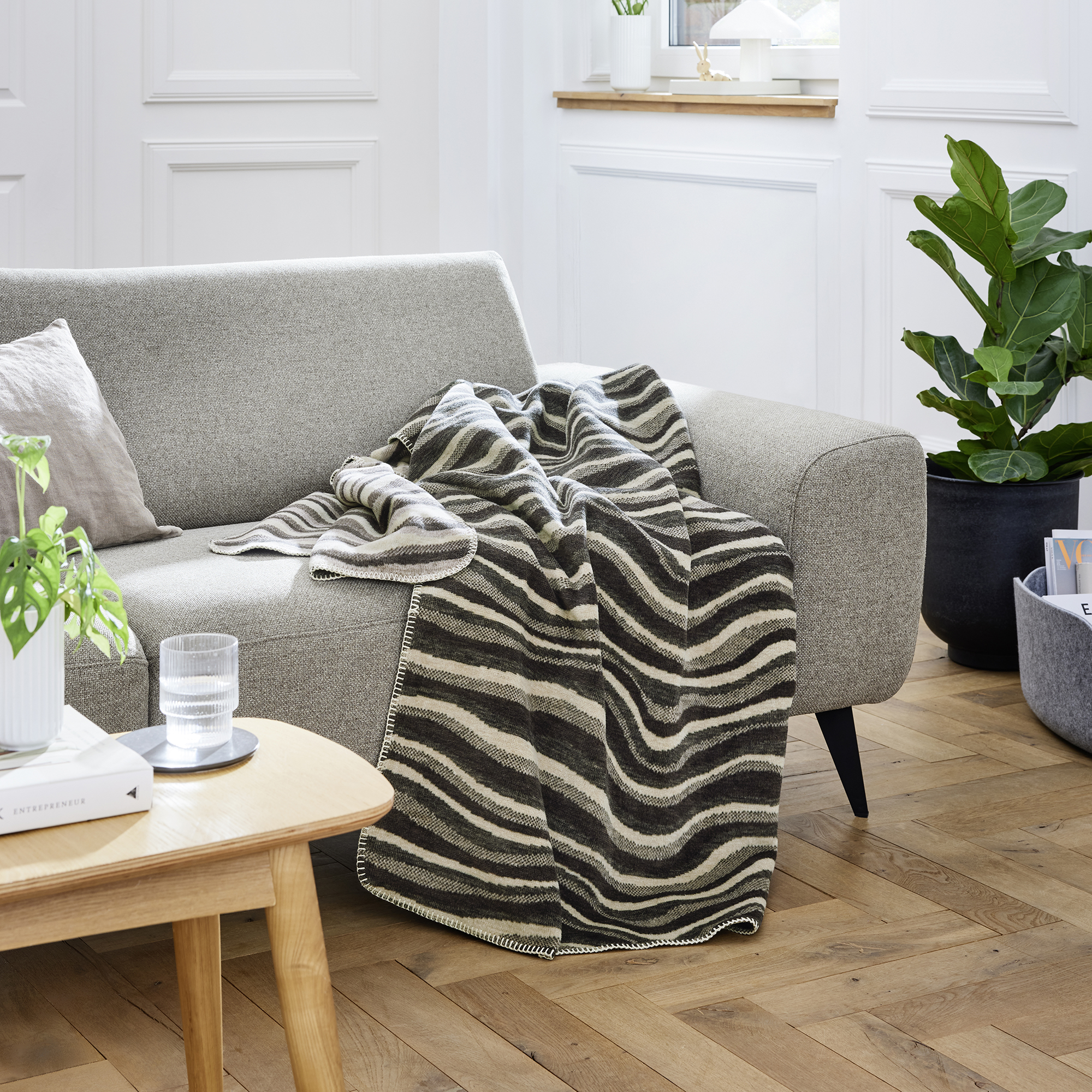 Moebel, Decke, Couch, Pflanze, Schreibtisch
