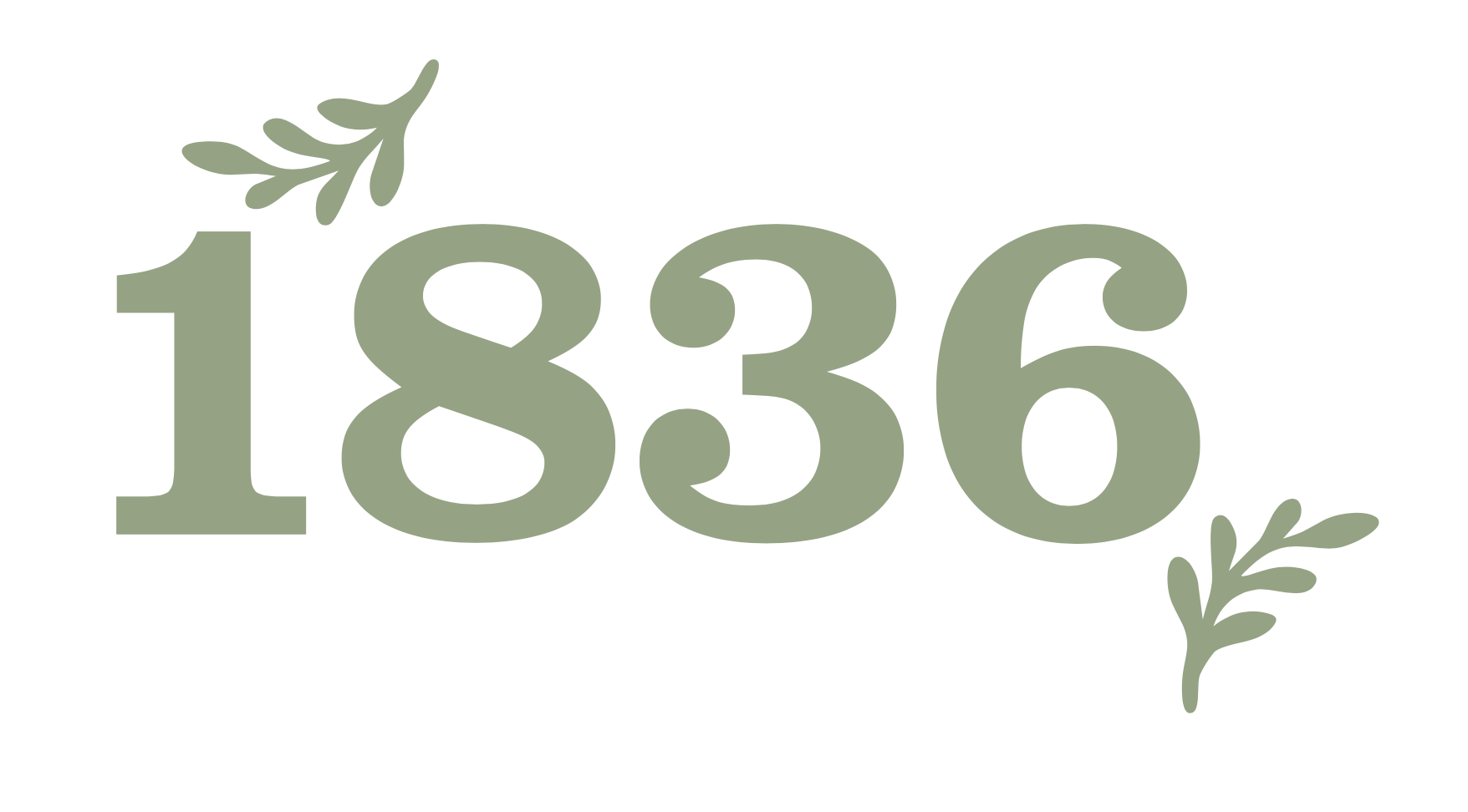 Zahl, Symbol, Text