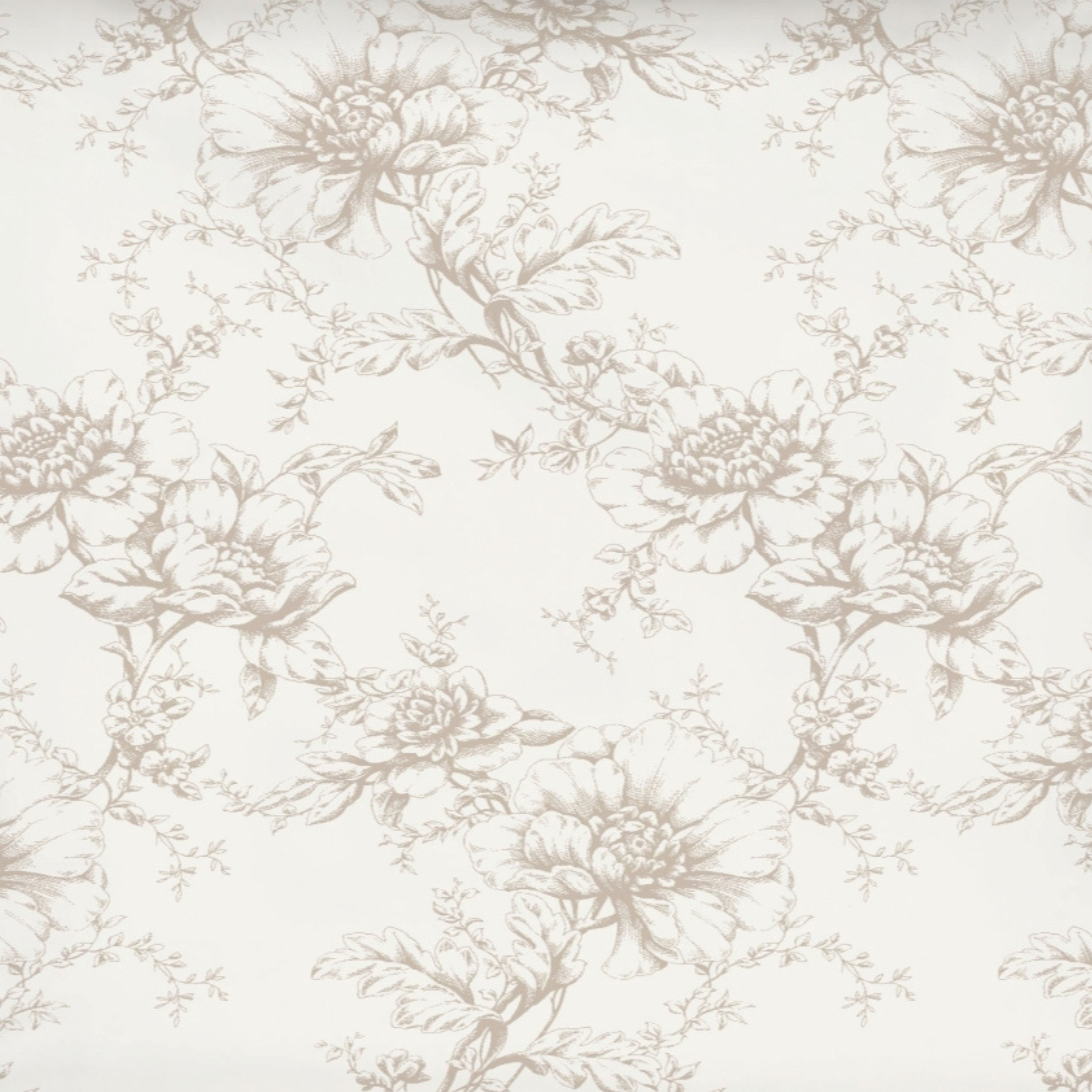 offwhite/natur