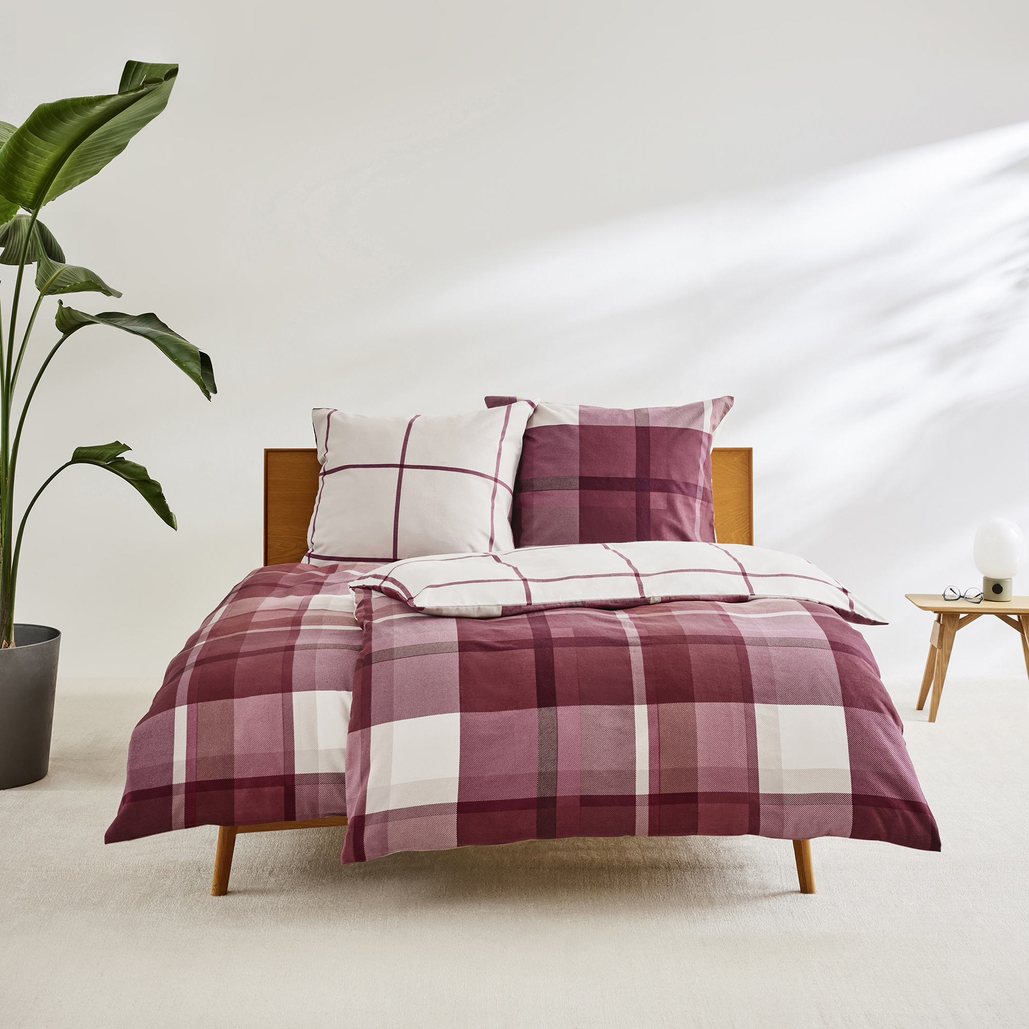 Moebel, Bett, Pflanze, Bettlaken, Moebel, Bett, Pflanze, Bettlaken