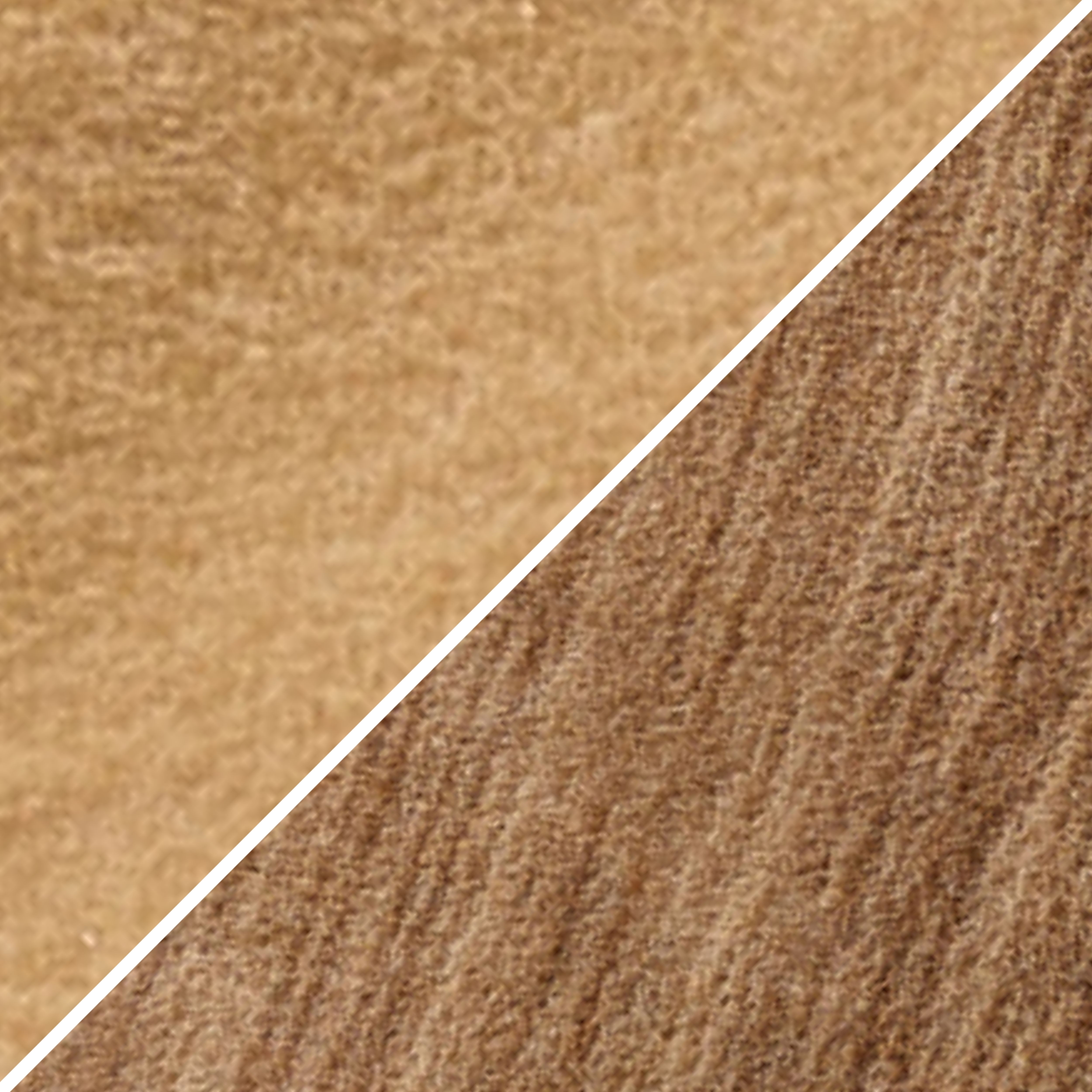 braun/camel